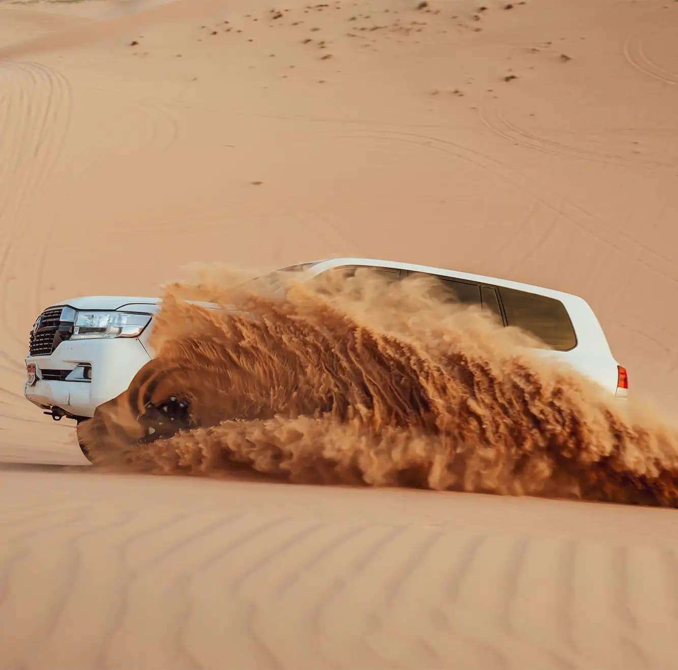 Qatar Desert Activities